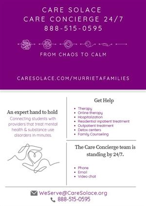 Care Solace infographic 
